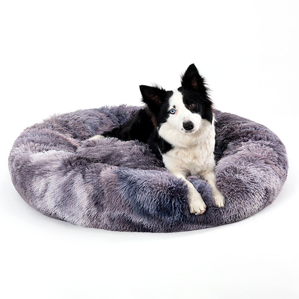 Dog Furniture