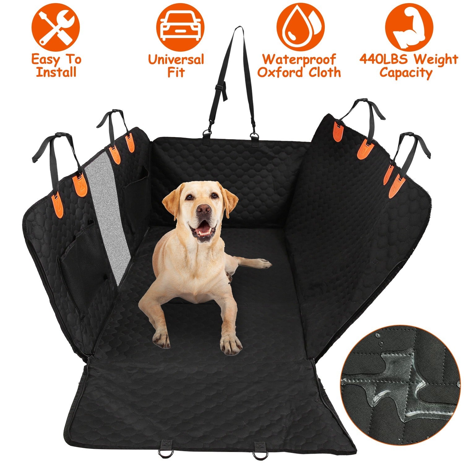 Dog Accessories
