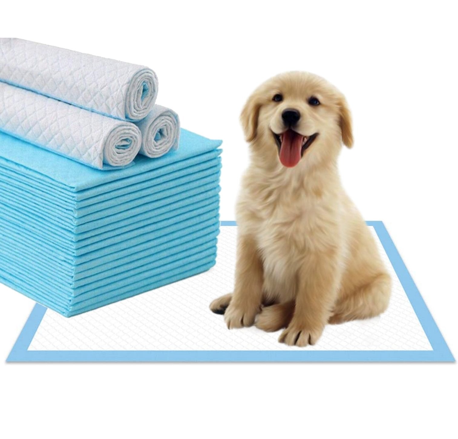 Dog Hygiene